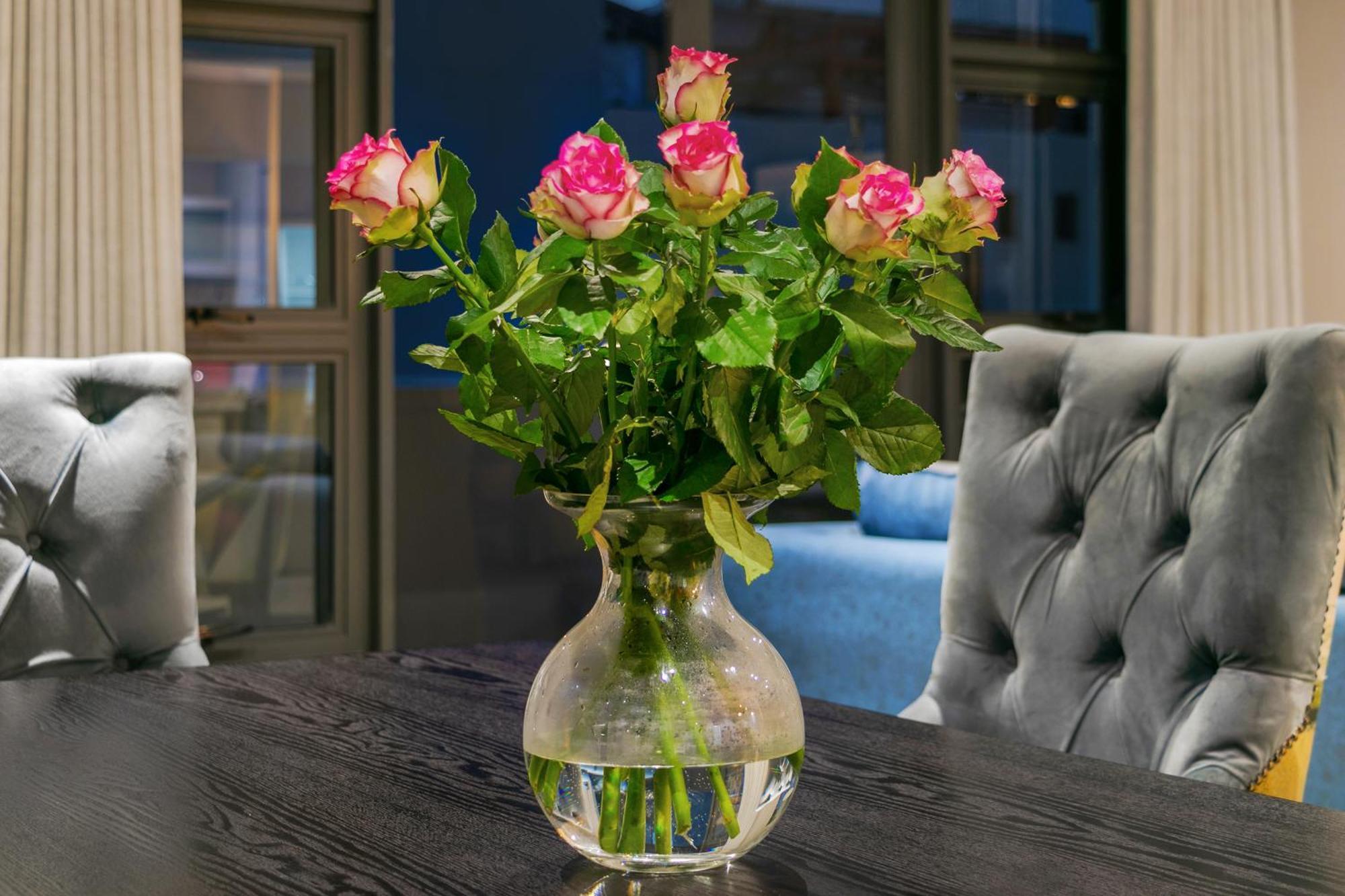Apartment 2 Bd Penthouse In The Heart Of The Mother *